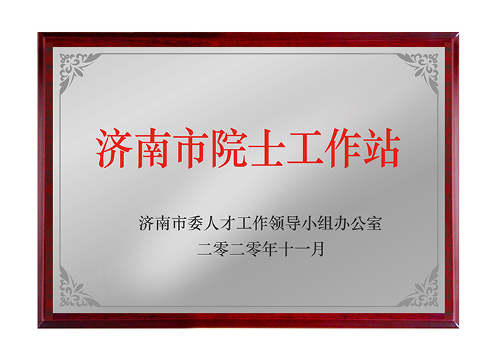 济南市院士工作站