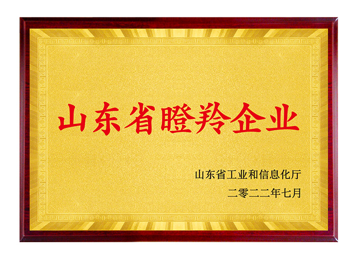 山东省瞪羚企业